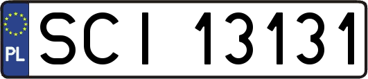 SCI13131