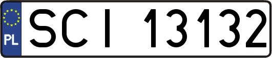 SCI13132