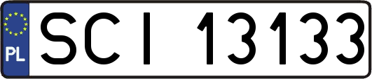 SCI13133