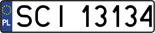 SCI13134