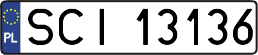 SCI13136