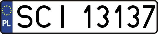 SCI13137