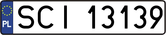 SCI13139
