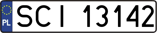 SCI13142