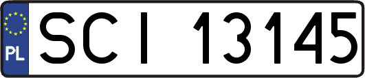 SCI13145
