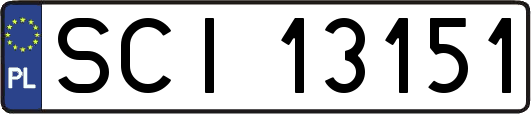 SCI13151