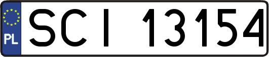 SCI13154