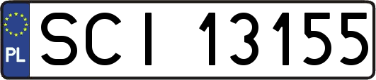 SCI13155