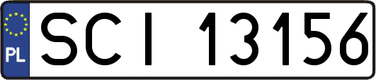 SCI13156