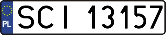 SCI13157
