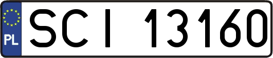 SCI13160