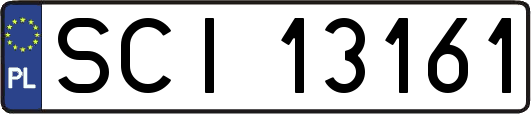 SCI13161
