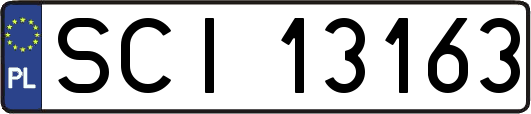 SCI13163