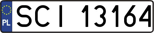 SCI13164