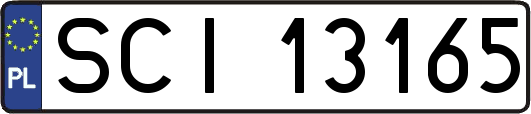 SCI13165