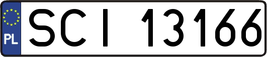 SCI13166