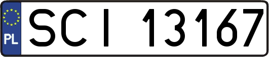 SCI13167