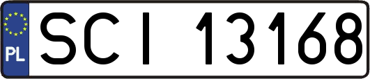 SCI13168