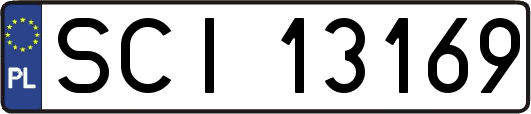 SCI13169