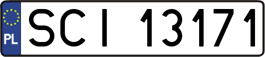 SCI13171