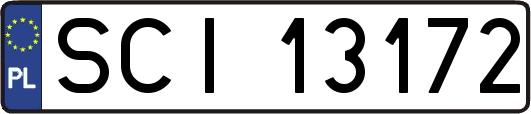 SCI13172
