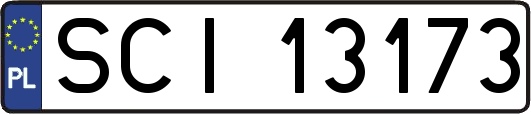 SCI13173