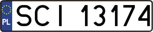SCI13174