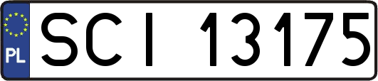 SCI13175