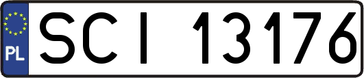SCI13176