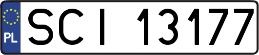 SCI13177