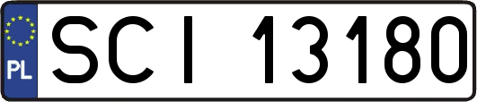 SCI13180