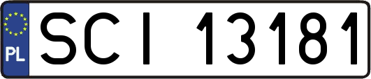 SCI13181