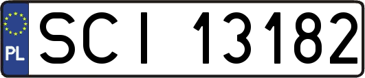 SCI13182