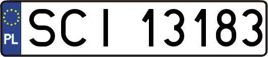 SCI13183