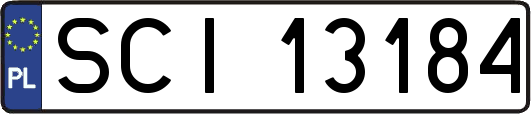 SCI13184