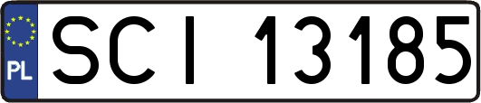 SCI13185