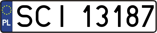 SCI13187