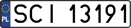 SCI13191