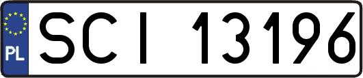 SCI13196
