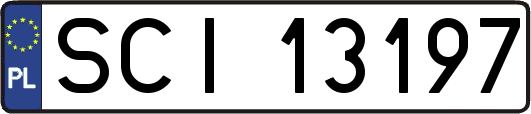 SCI13197