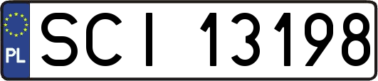 SCI13198