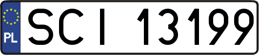 SCI13199