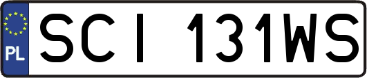 SCI131WS