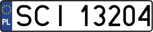 SCI13204