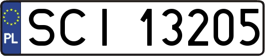 SCI13205