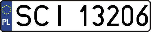 SCI13206
