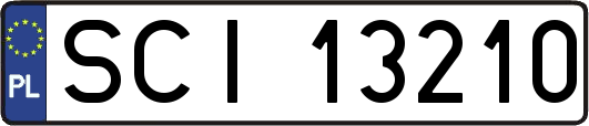 SCI13210