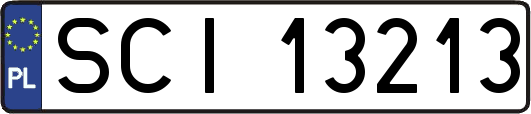 SCI13213