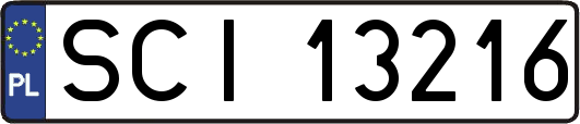SCI13216