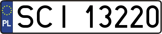 SCI13220